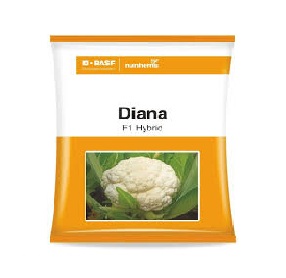 Cauliflower Diana 10gm - Nunhems