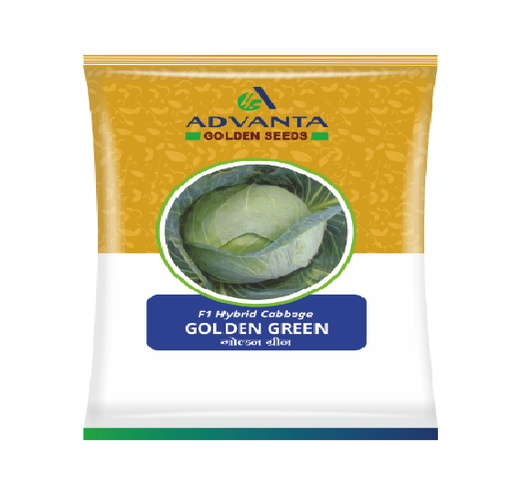 Cabbage Golden Green 10gm - Advanta