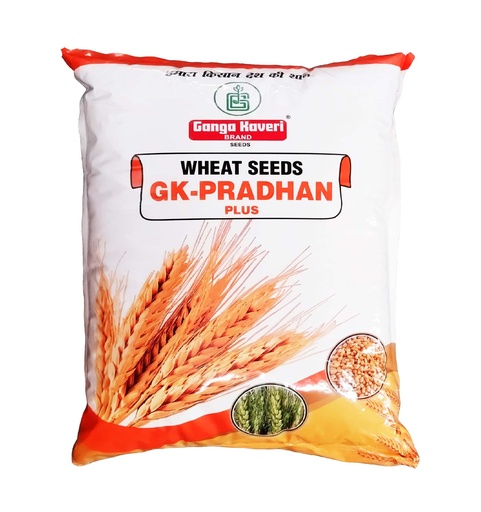 Pradhan 20kg - GK Seeds
