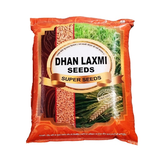 Wheat Seeds - Dhanlaxmi Seeds
