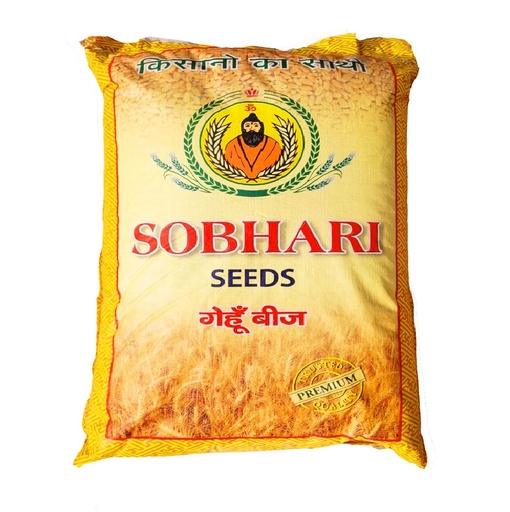 Wheat Seeds - Sobhari Seeds