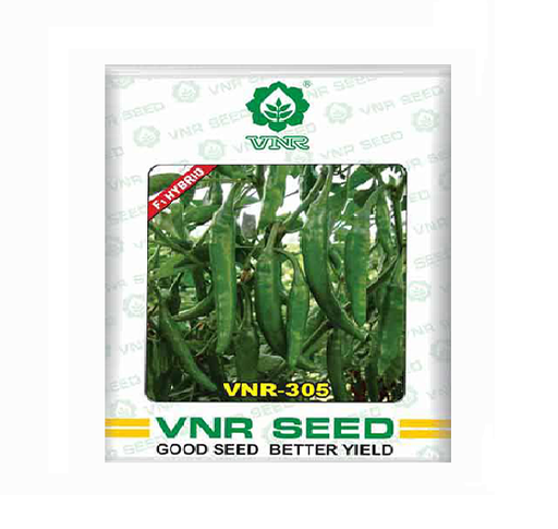 Chilli-305 10gm - VNR Seeds