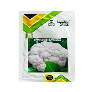 Cauliflower Aghani 25gm - Pandey