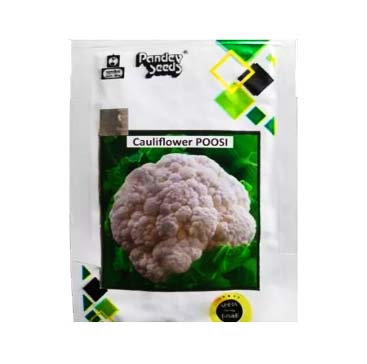 Cauliflower Poosi 25gm - Pandey 