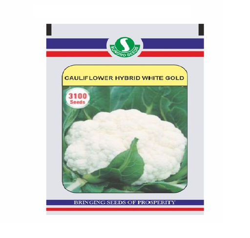 Cauliflower White Gold 10gm - Sungro 