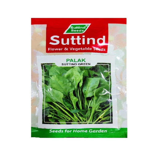 Palak Green 500gm - Suttind
