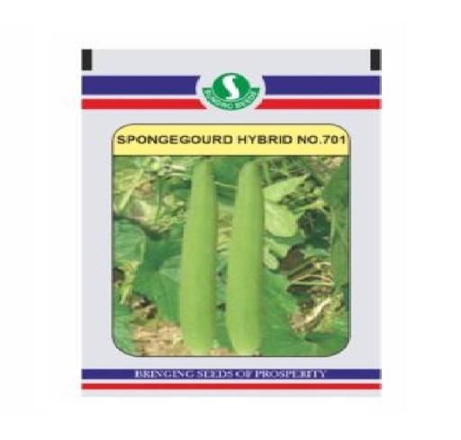 Spongegourd No-701 10gm - Sungro 