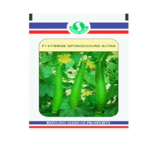 Spongegourd Nutan 10gm - Sungro 