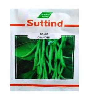 Beans Chandni 250gm - Suttind