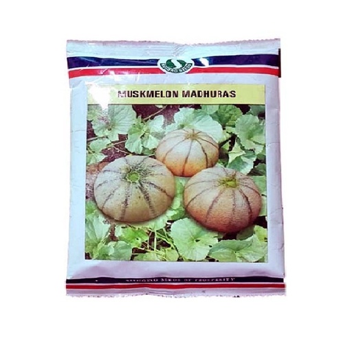 Muskmelon Madhuras 100gm - Sungro 
