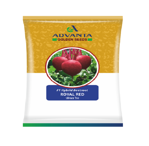 Beet Royal Red 50gm - Advanta 