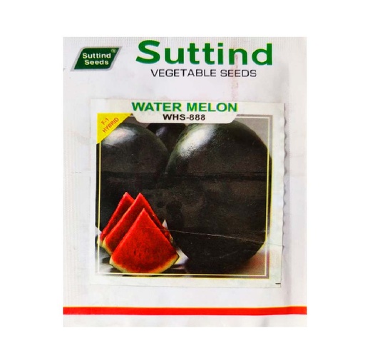 Watermelon F1 WHS-888 50gm - Suttind 
