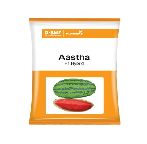 Watermelon Aastha 50gm - Nunhems 