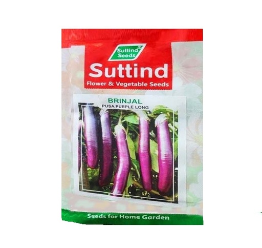 Brinjal PPL 25gm - Suttind