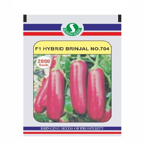 Brinjal No-704 10gm - Sungro