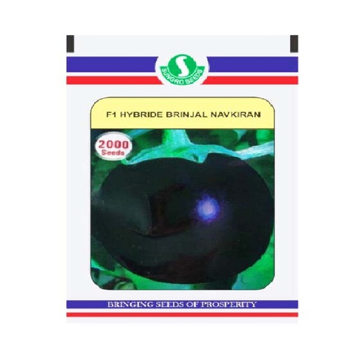 Brinjal Navkiran 10gm - Sungro  