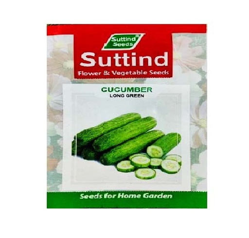 Cucumber Long Green 100gm - Suttind