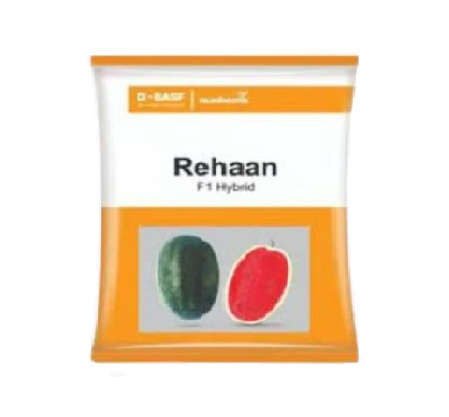 Watermelon Rehaan F1 1000 nos - Nunhems 