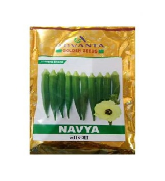 Bhindi Hyb Navya 100gm - Advanta