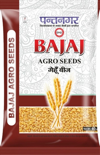 Wheat Seeds - Bajaj Agro seeds