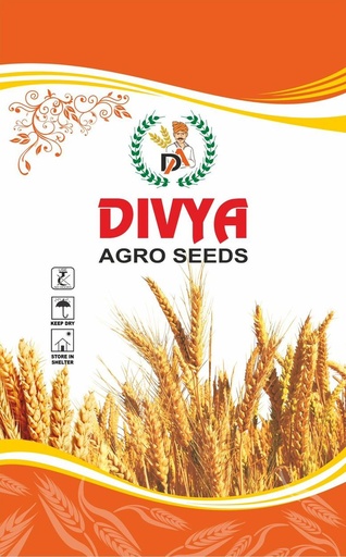 Wheat Seeds - Divya Agro Seeds
