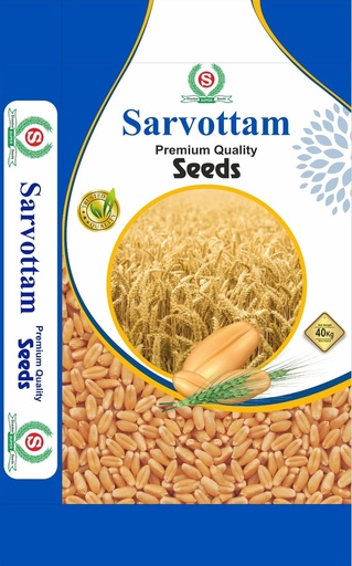 Wheat Seeds - Sarvottam Seeds 
