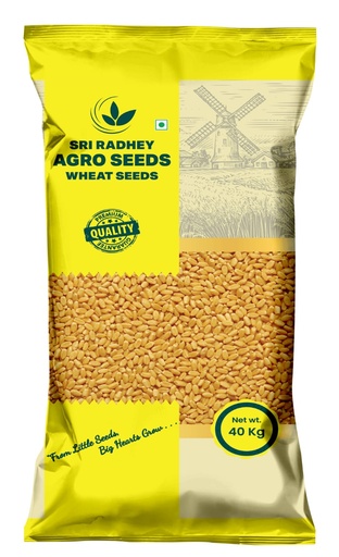 Wheat Seeds - Sri Radhey Agro Seeds