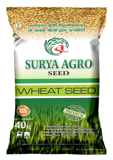 Wheat Seeds - Surya Seeds