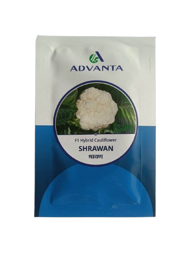 Cauliflower Shrawan 10gm - Advanta