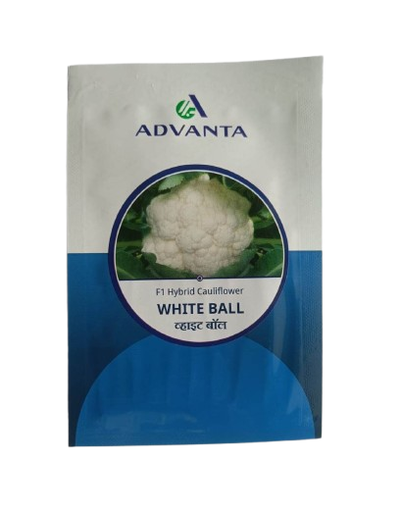 Cauliflower White Ball 2000 Seeds - Advanta