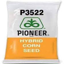 Corn 3522 1kg - poineer