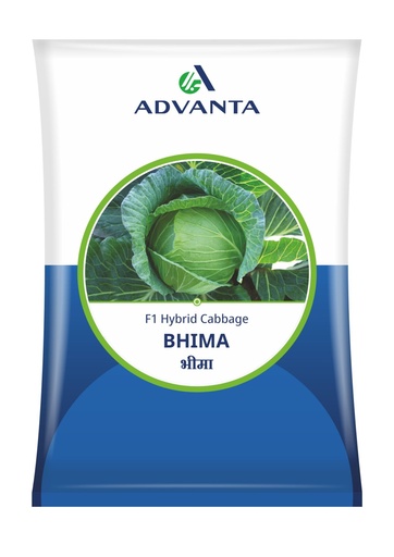 Cabbage Bhima 10gm - Advanta
