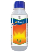 Regent SC 1 lit - Bayer