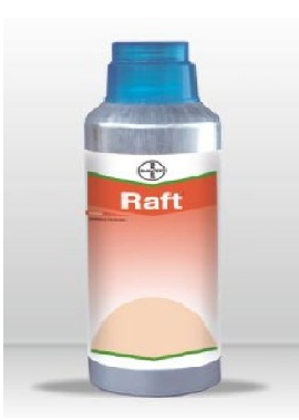 Raft 250ml - Bayer
