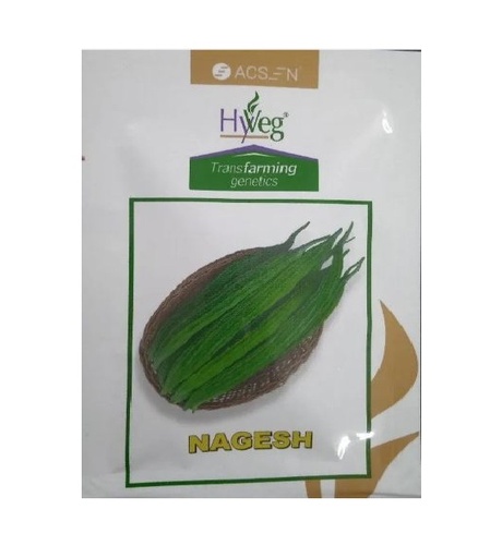 Bittergourd Nagesh 10gm - Ascen Hyveg