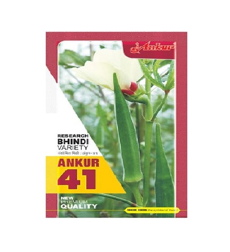 Bhindi Ankur-41 500gm - Ankur (510/kg)