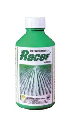 Racer 1 Lit - IIL
