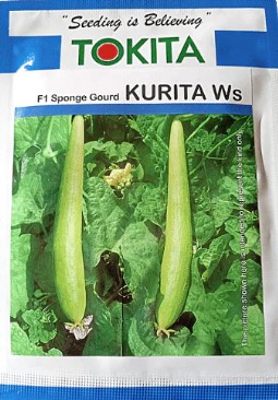 Spongegourd F1 Kurita WS 10gm - Tokita