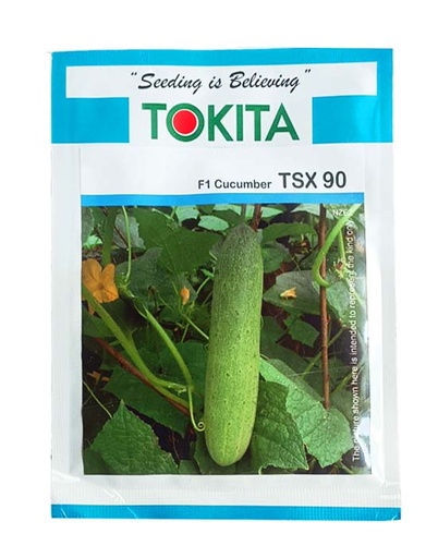 Cucumber F1 TSX-90 10gm - Tokita