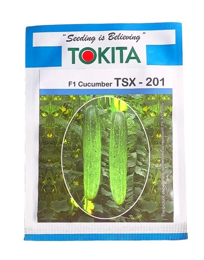 Cucumber F1 TSX-201 10gm - Tokita