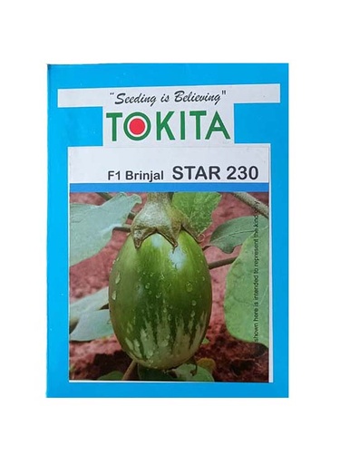 Brinjal F1 Star-230 10gm - Tokita