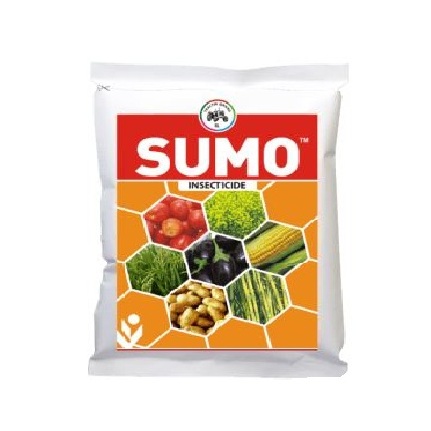 Sumo 1kg - IIL
