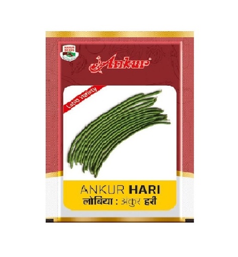 Lobia Hari 500gm - Ankur