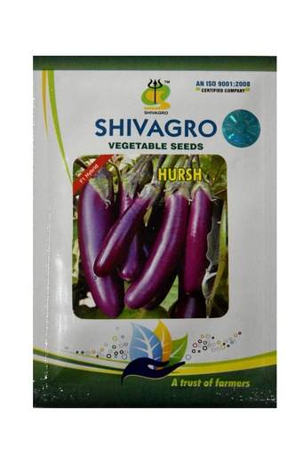 Brinjal Harsh 10gm - Shiva Agro