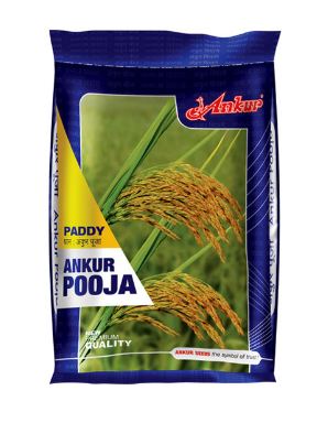 Pooja 5kg - Ankur