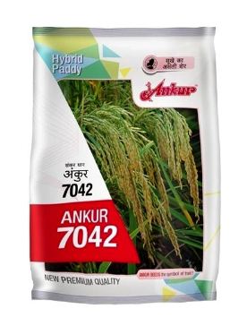 7042 3kg - Ankur