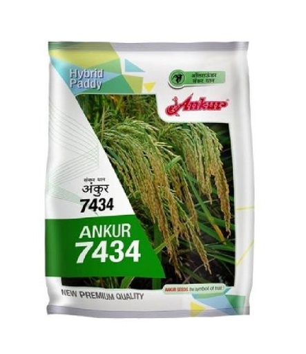 7434 3kg- Ankur 