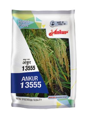 13555 3kg - Ankur 