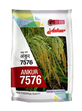 7576 3kg - Ankur 