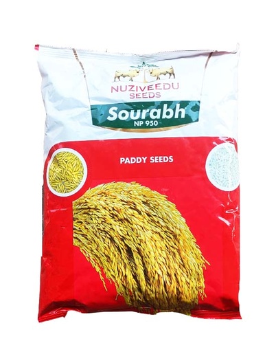 Sourabh 3kg -  Nuziveedu